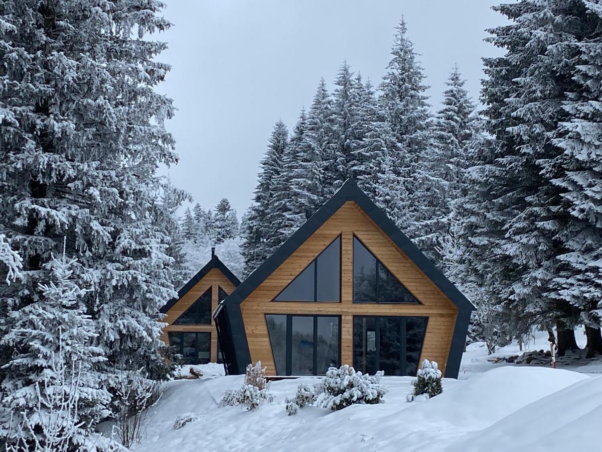 Chalet Belveder Horska Chata Železná Ruda Exterior foto