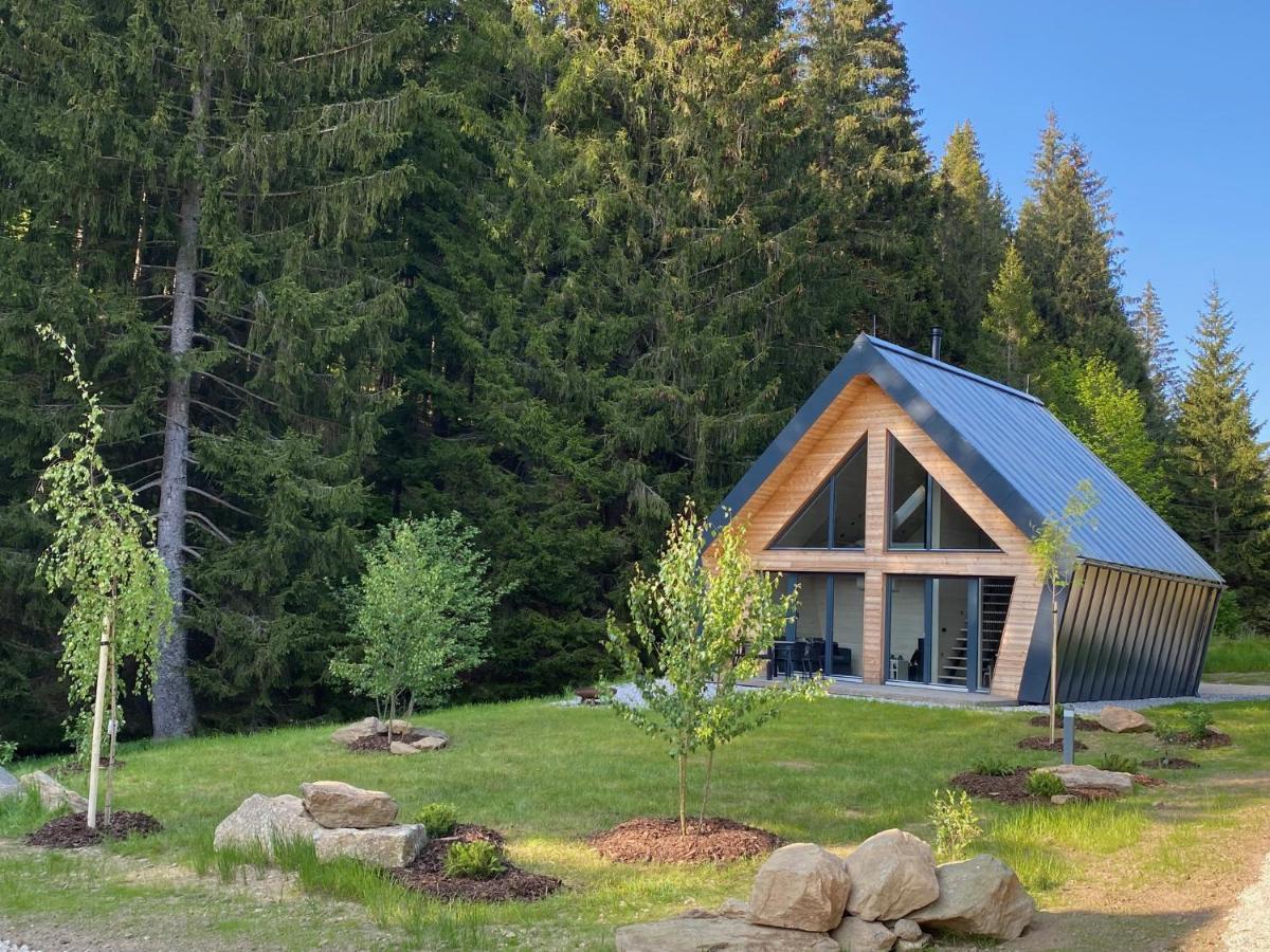 Chalet Belveder Horska Chata Železná Ruda Exterior foto