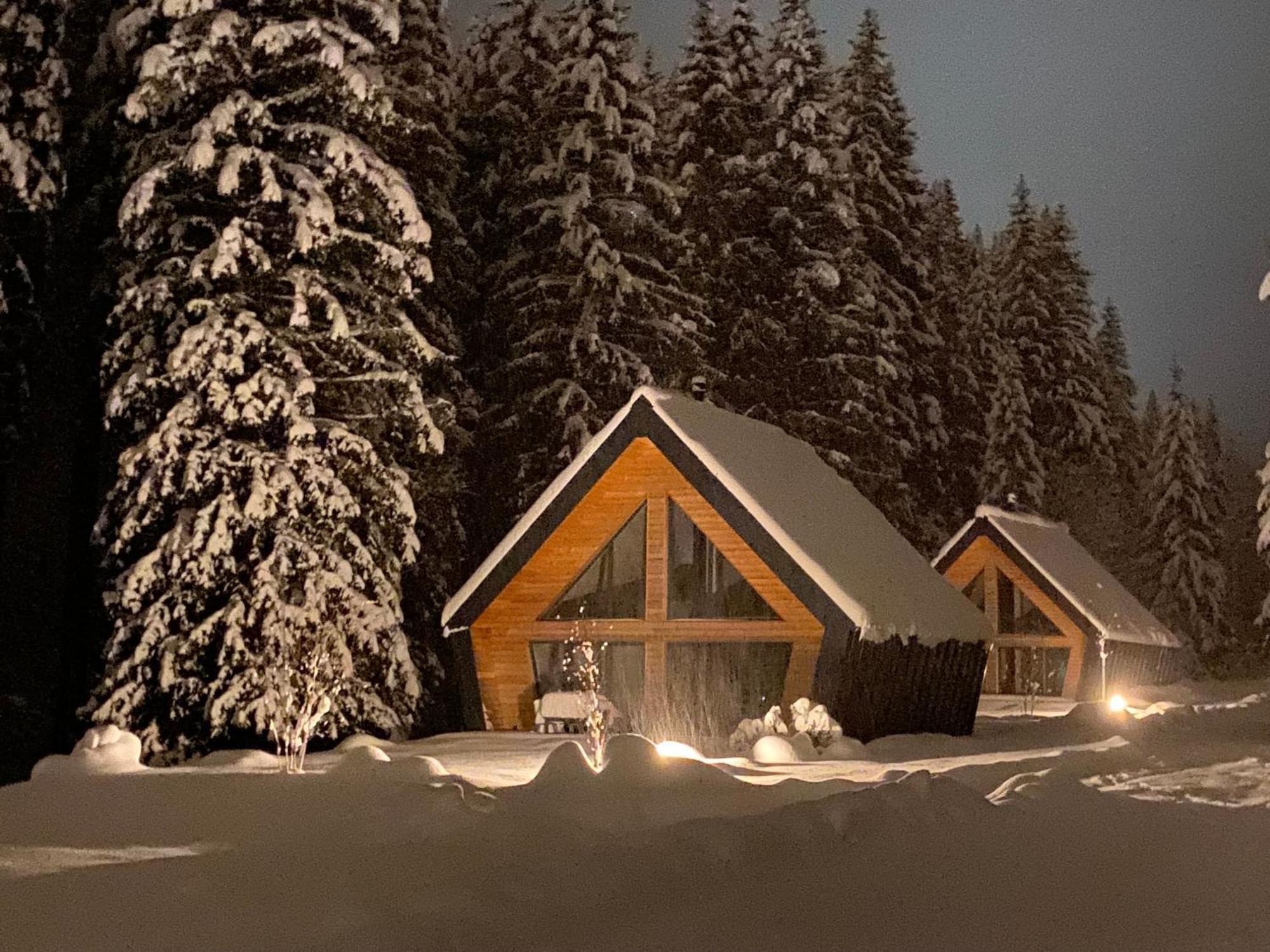 Chalet Belveder Horska Chata Železná Ruda Exterior foto